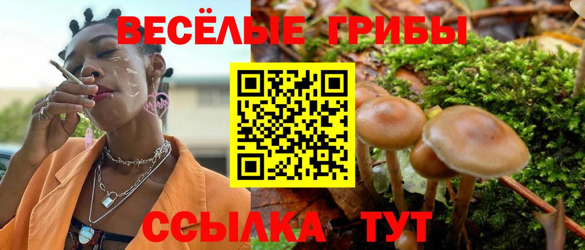 Галлюциногенные грибы прущие грибы  Вход с VPN  Будённовск 