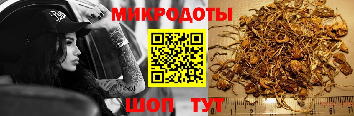 Псилоцибиновые грибы Cubensis Будённовск