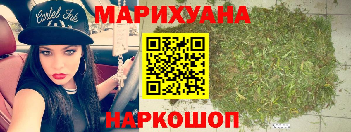 Канабис сатива  Бошки марихуана планчик  Конопля SATIVA & INDICA  Будённовск  Конопля планчик  Вход с VPN 